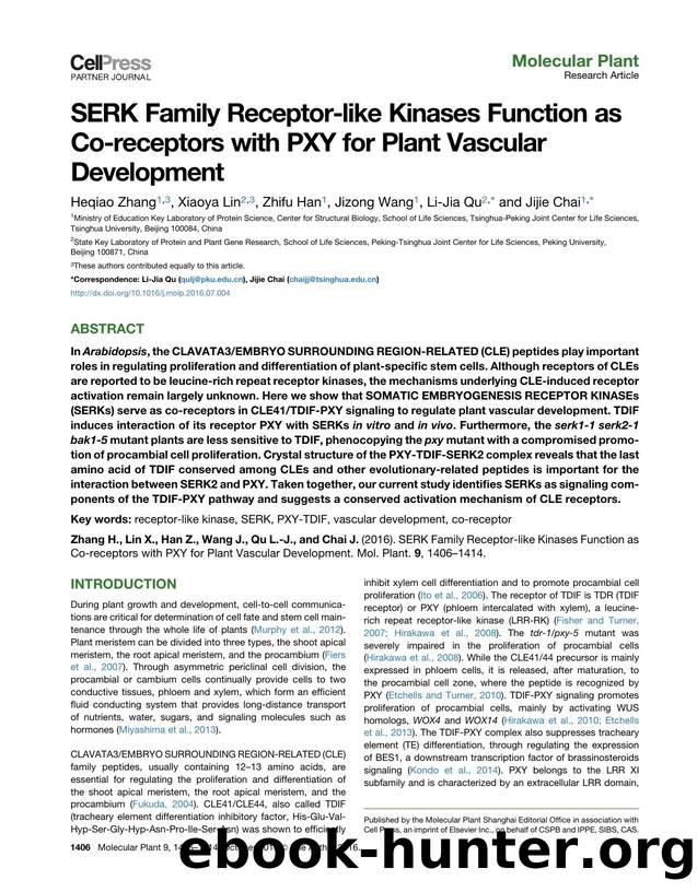 SERK Family Receptor-like Kinases Function as Co-receptors with PXY for Plant Vascular Development by Heqiao Zhang & Xiaoya Lin & Zhifu Han & Jizong Wang & Li-Jia Qu & Jijie Chai