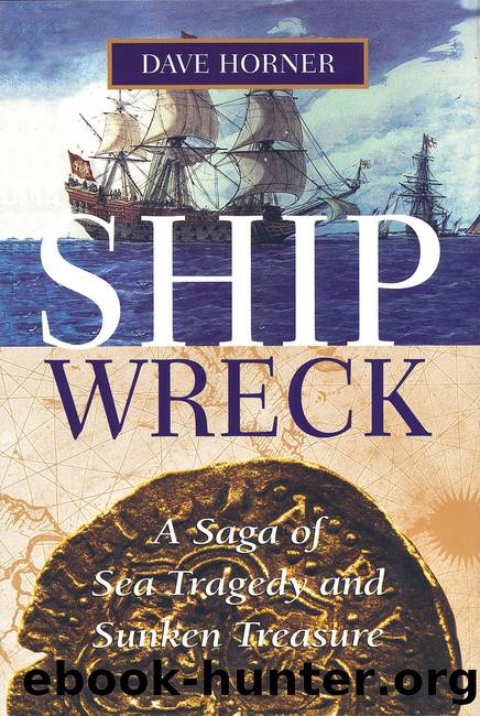 SHIPWRECK by DAVE HORNER