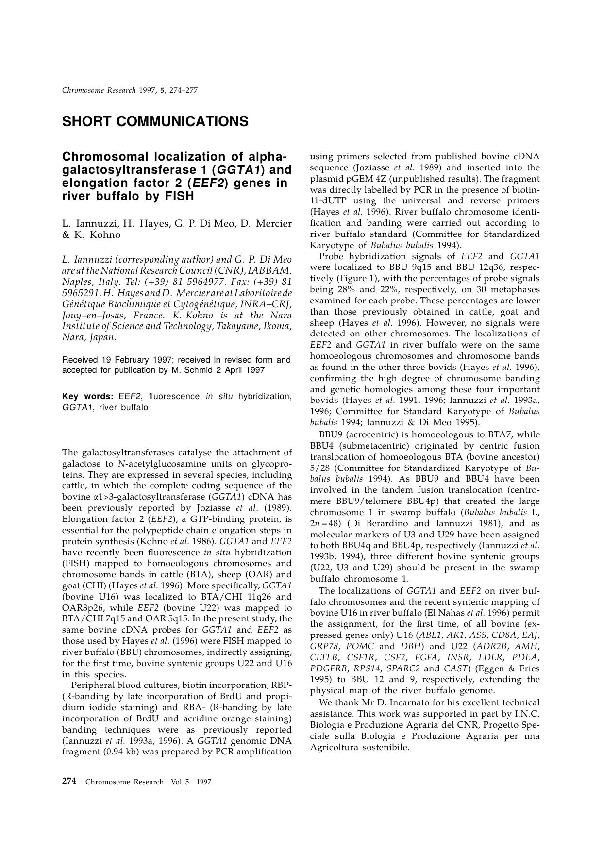 SHORT COMMUNICATIONS: Chromosomal localization of alpha- galactosyltransferase 1 (GGTA1) and elongation factor 2 (EEF2) genes in river buffalo by FISH by Unknown