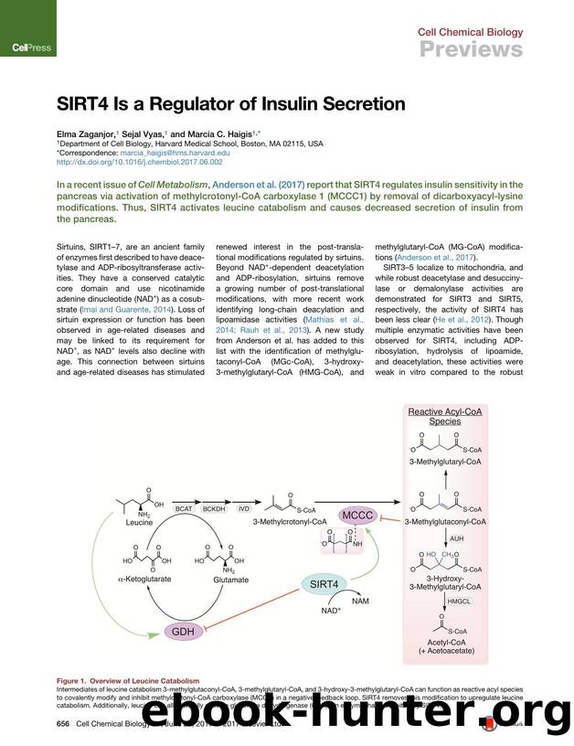 SIRT4 Is a Regulator of Insulin Secretion by Elma Zaganjor & Sejal Vyas & Marcia C. Haigis