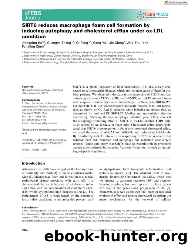 SIRT6 reduces macrophage foam cell formation by inducing autophagy and cholesterol efflux under oxâLDL condition by Unknown
