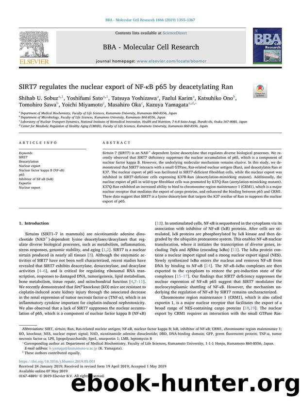 SIRT7 regulates the nuclear export of NF-ÎºB p65 by deacetylating Ran by unknow