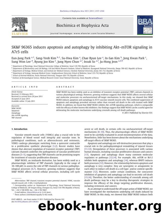 SK&amp;F 96365 induces apoptosis and autophagy by inhibiting AktâmTOR signaling in A7r5 cells by unknow