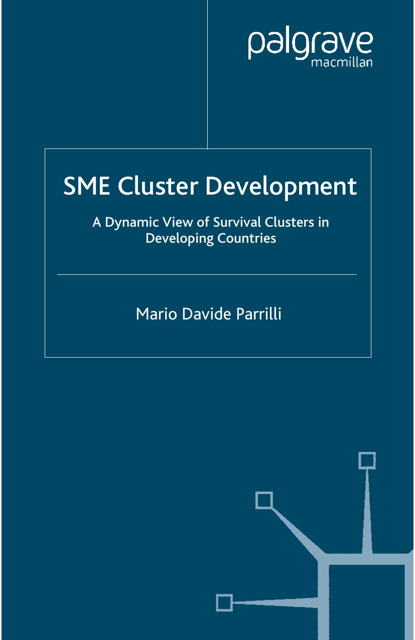 SME Cluster Development: A Dynamic View of Survival Clusters in Developing Countries by Mario Davide Parrilli (auth.)
