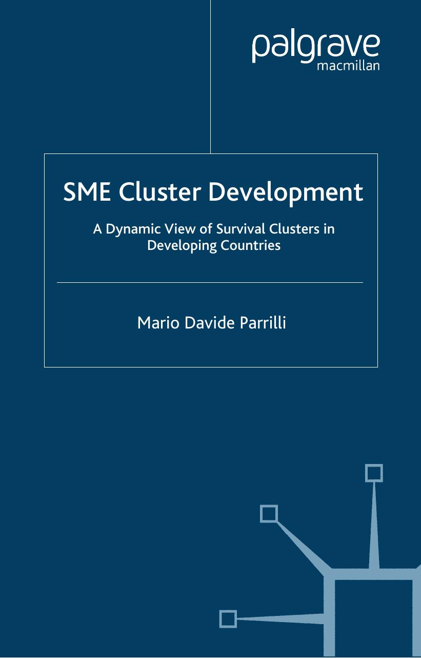 SME Cluster Development: A Dynamic View of Survival Clusters in Developing Countries by Mario Davide Parrilli