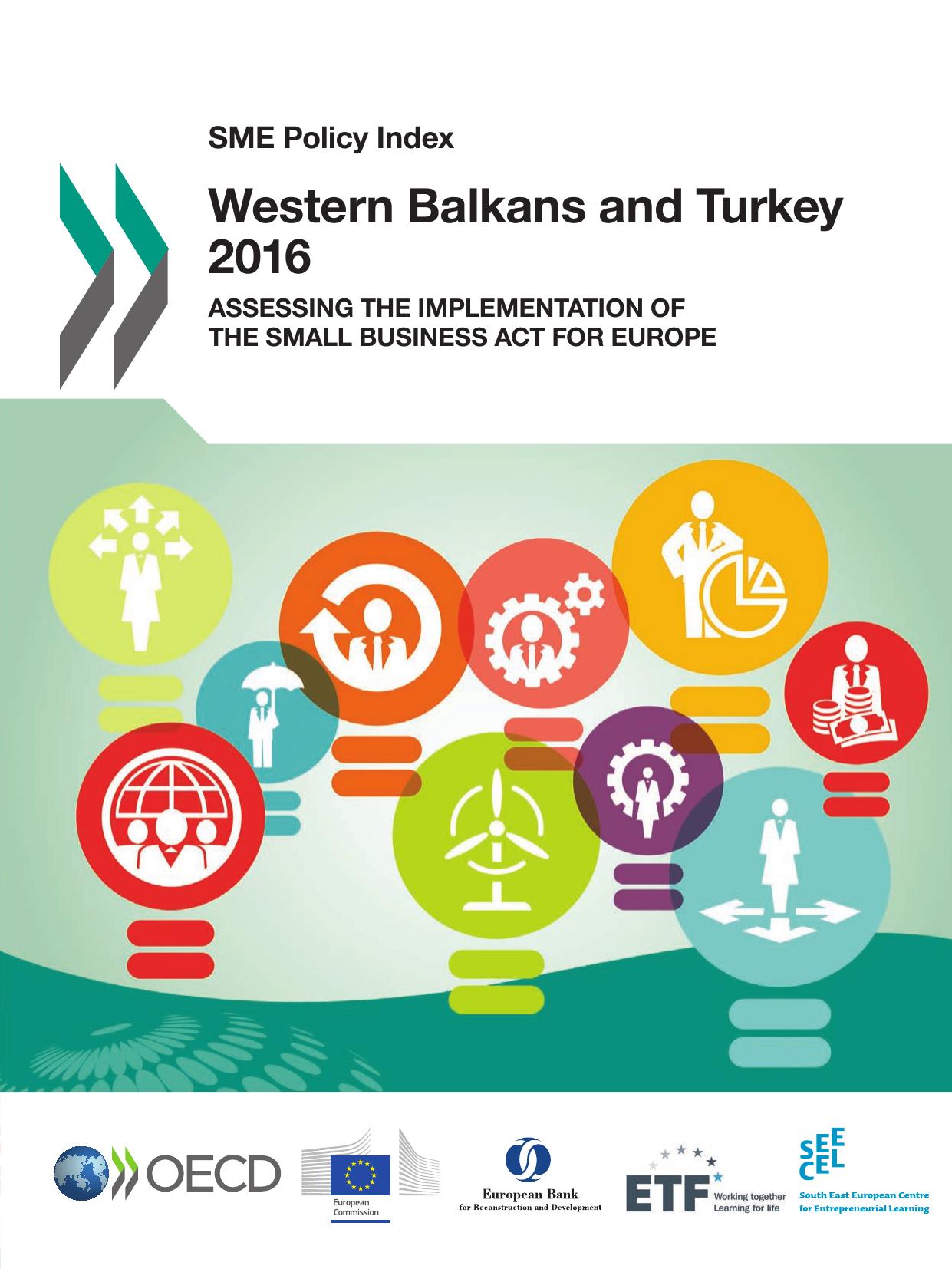 SME Policy Index: Western Balkans and Turkey 2016: Assessing the Implementation of the Small Business Act for Europe by Oecd Organisation For Economic Co-Operation And Development