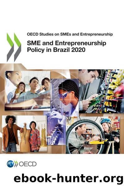 SME and Entrepreneurship Policy in Brazil 2020 by OECD