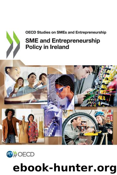 SME and Entrepreneurship Policy in Ireland by OECD