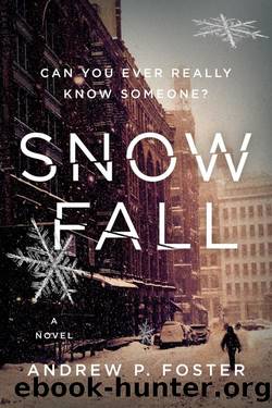 SNOW FALL by Andrew P Foster