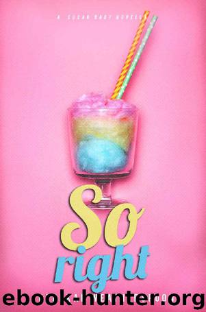 SO RIGHT: A Sugar Baby Novella by Rebekah Weatherspoon