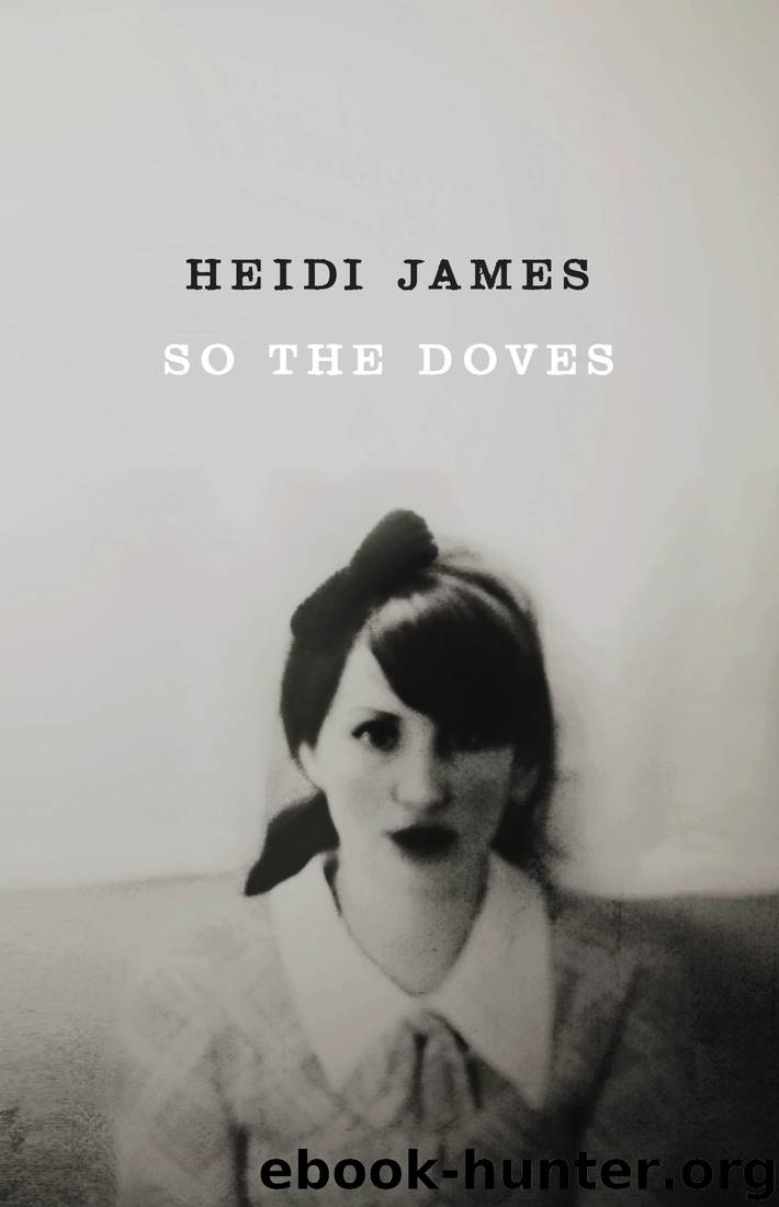 SO THE DOVES by Heidi James