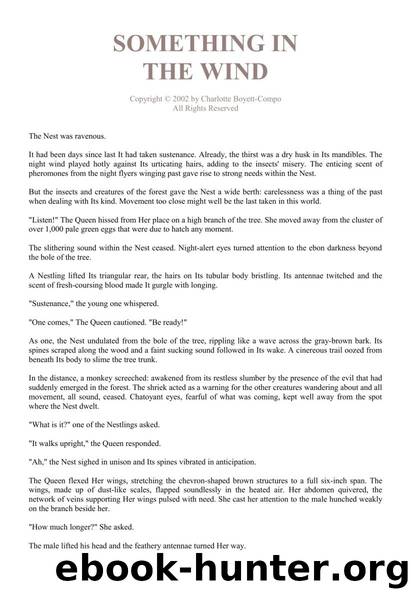 SOMETHING IN by Something In The Wind