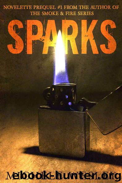 SPARKS: The Smoke & Fire Series (Prequel Book 1) by Wesley Michele