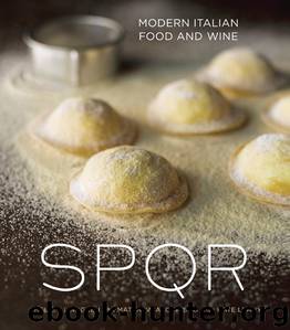 SPQR by Shelley Lindgren