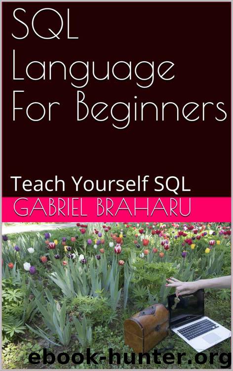 SQL Language For Beginners: Teach Yourself SQL (Programming courses Book 4) by Braharu Gabriel