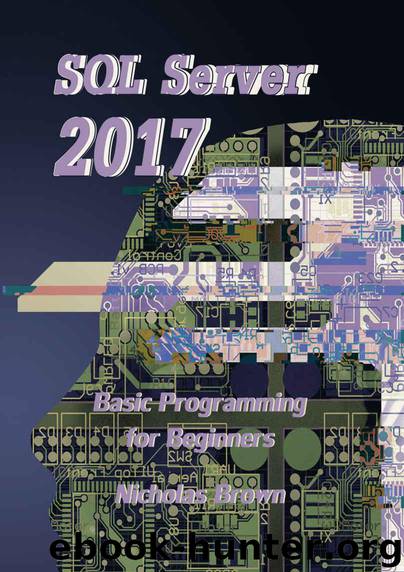 SQL Server 2017: Basic Programming for Beginners by Brown Nicholas