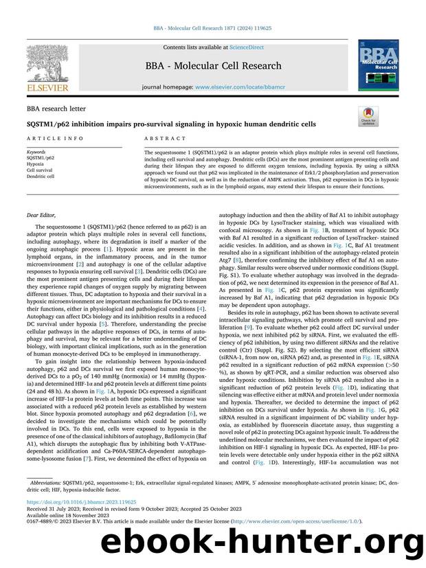 SQSTM1p62 inhibition impairs pro-survival signaling in hypoxic human dendritic cells by unknow