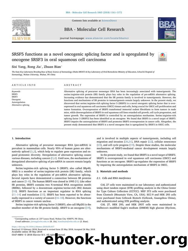 SRSF5 functions as a novel oncogenic splicing factor and is upregulated by oncogene SRSF3 in oral squamous cell carcinoma by Sisi Yang & Rong Jia & Zhuan Bian