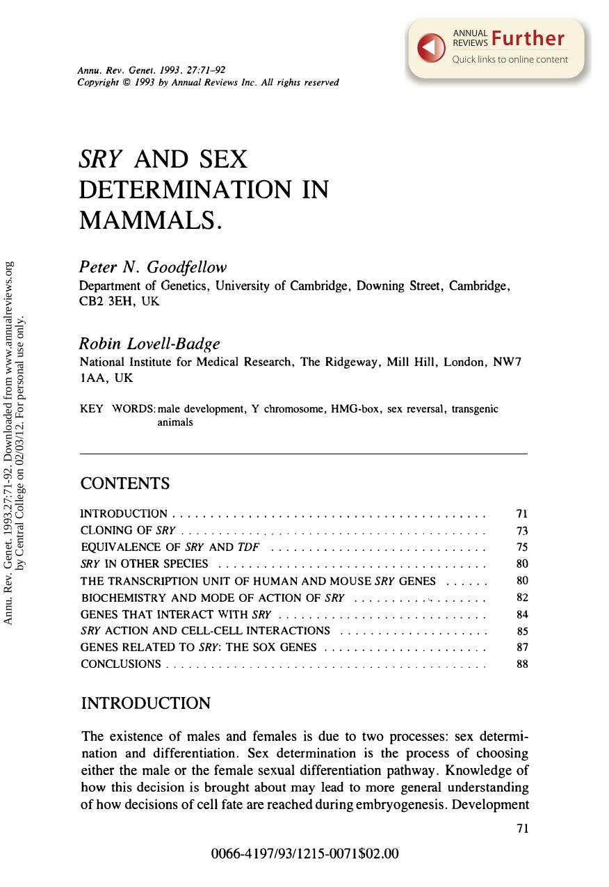 SRY and Sex Determination in Mammals by P N Goodfellow & R Lovell-Badge