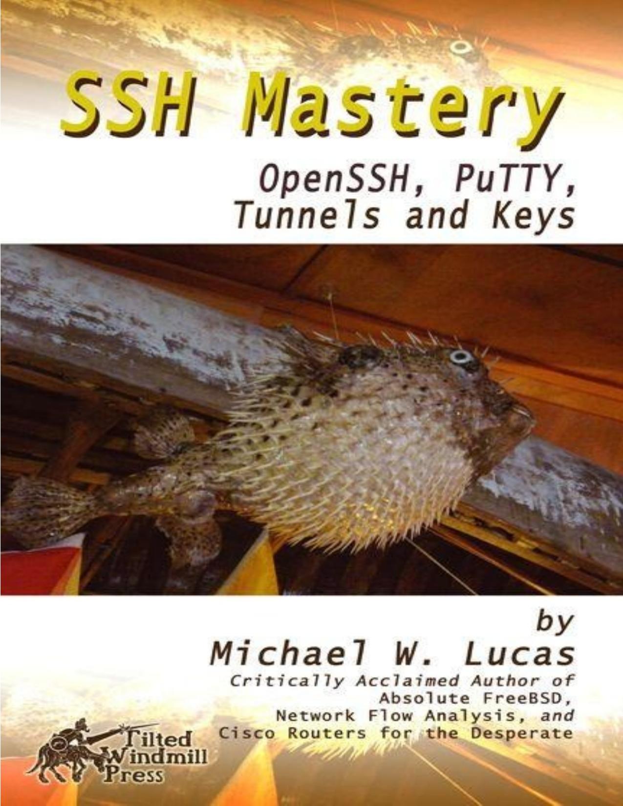 SSH Mastery: OpenSSH, PuTTY, Tunnels and Keys by Lucas Michael W