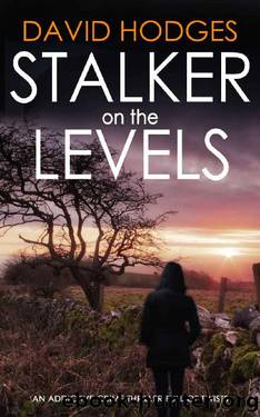 STALKER ON THE LEVELS an addictive crime thriller full of twists (Detective Kate Hamblin Mystery Book 9) by DAVID HODGES