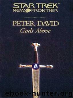 STAR TREK: NF 13 - Gods Above by Peter David