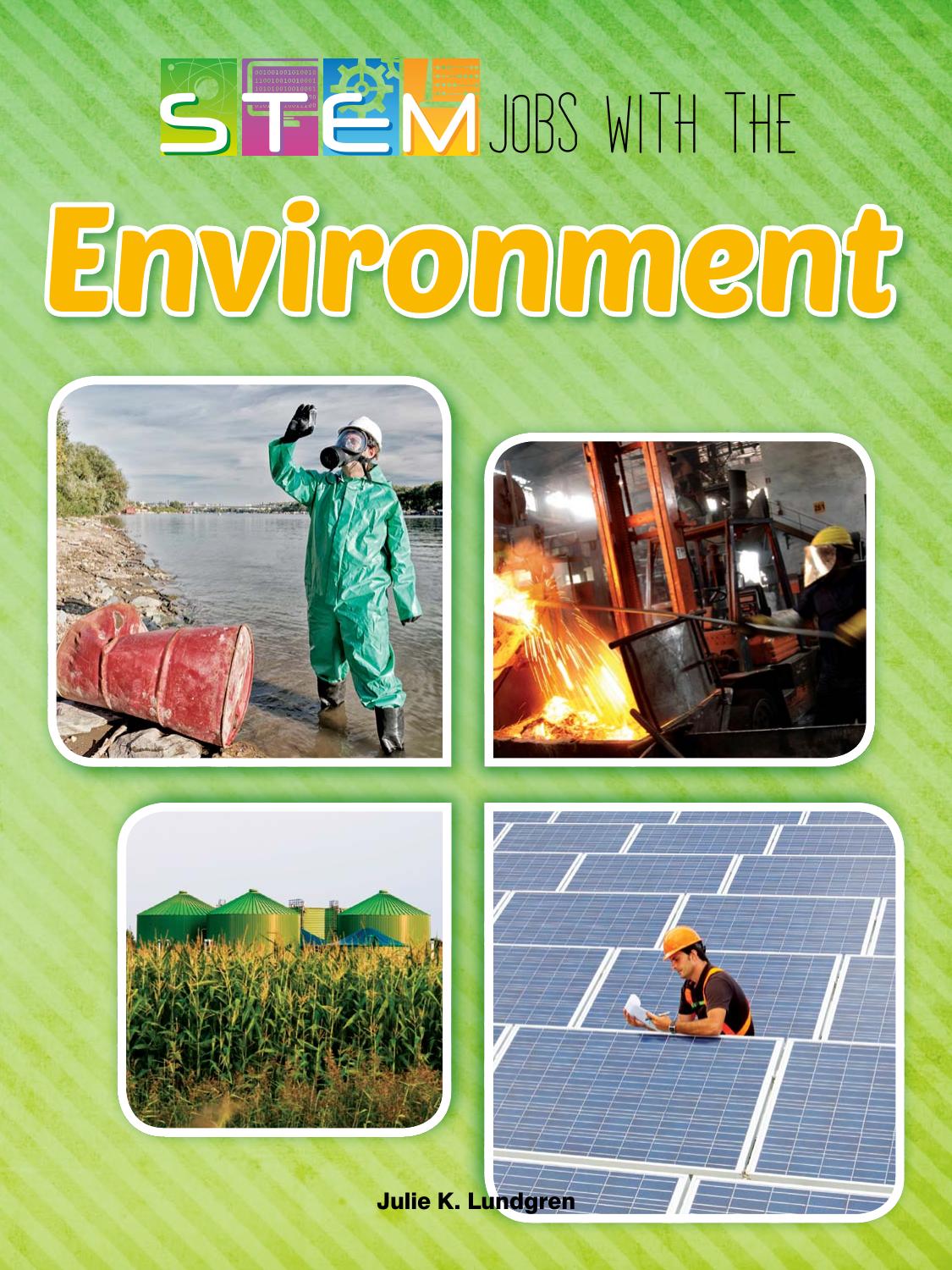 STEM Jobs with the Environment by Julie K Lundgren