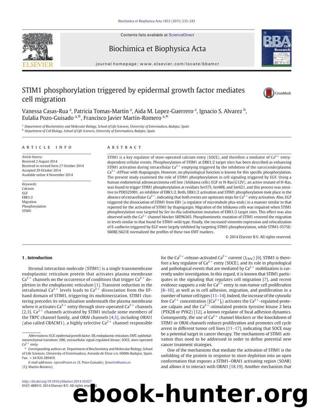 STIM1 phosphorylation triggered by epidermal growth factor mediates cell migration by unknow