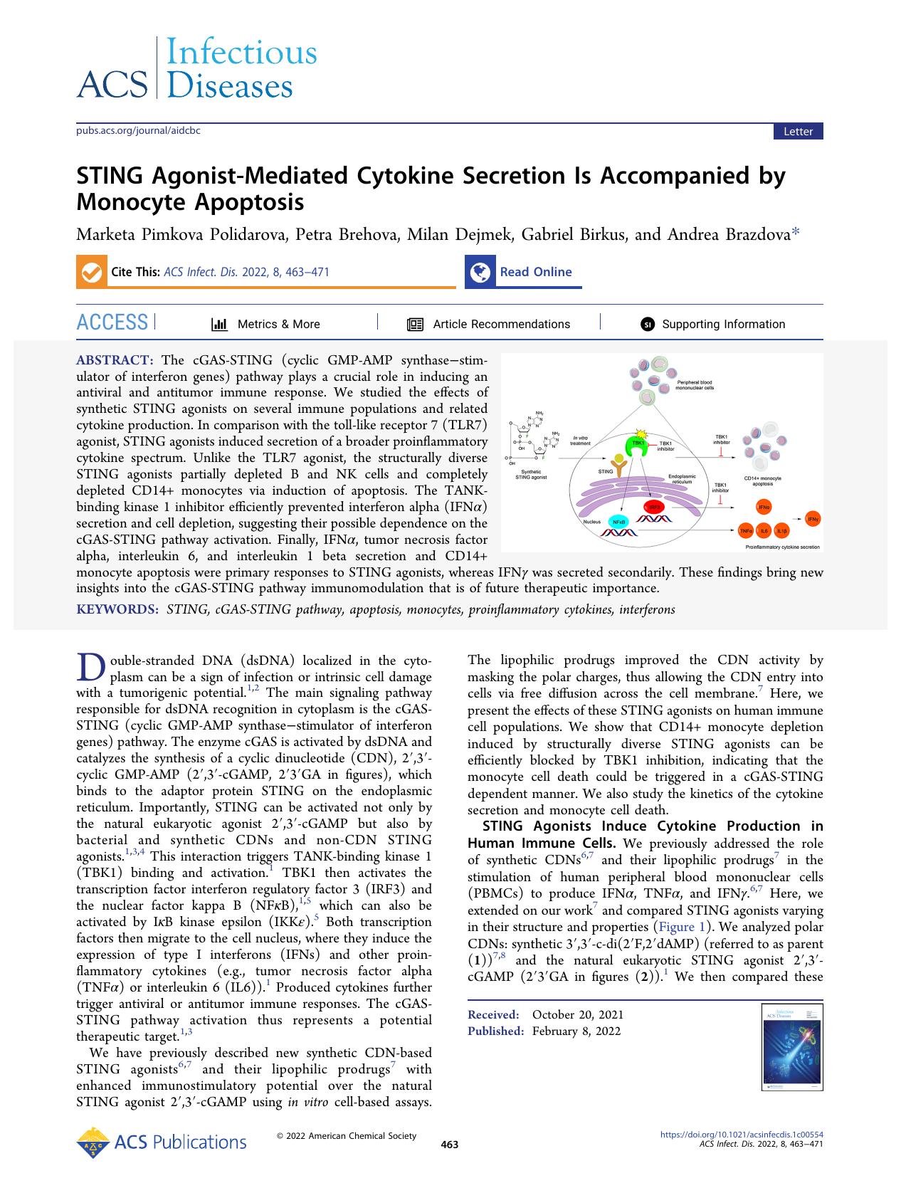 STING Agonist-Mediated Cytokine Secretion Is Accompanied by Monocyte Apoptosis by Marketa Pimkova Polidarova Petra Brehova Milan Dejmek Gabriel Birkus and Andrea Brazdova