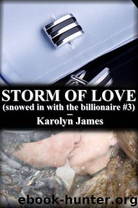 STORM OF LOVE (snowed in with the billionaire #3) (billionaire erotic romance)) by Karolyn James