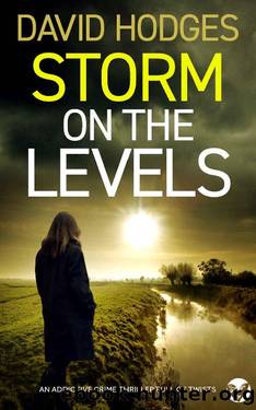 STORM ON THE LEVELS an addictive crime thriller full of twists by DAVID HODGES
