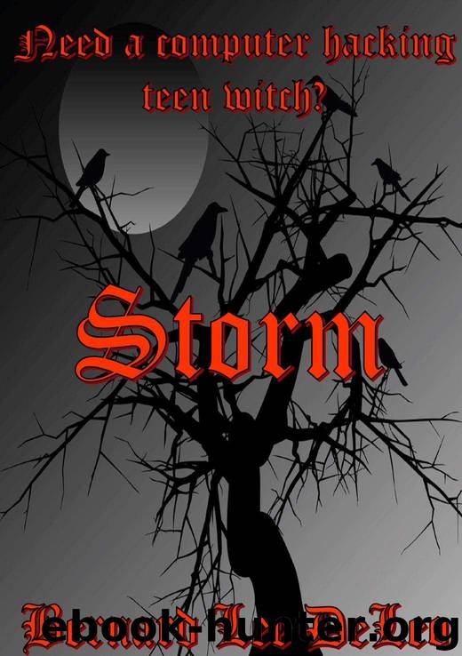 STORM by DeLeo Bernard Lee