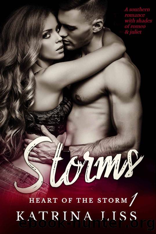 STORMS: HEART OF THE STORM - BOOK 1 by Liss Katrina