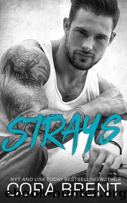 STRAYS by Brent Cora