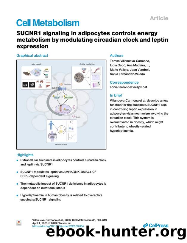 SUCNR1 signaling in adipocytes controls energy metabolism by modulating circadian clock and leptin expression by unknow