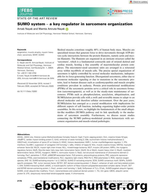 SUMO system â a key regulator in sarcomere organization by Unknown