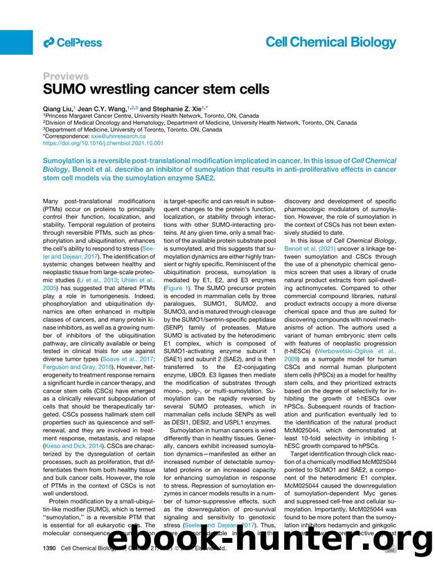 SUMO wrestling cancer stem cells by Qiang Liu & Jean C.Y. Wang & Stephanie Z. Xie