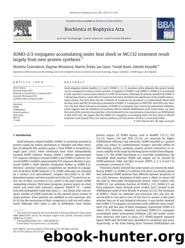 SUMO-23 conjugates accumulating under heat shock or MG132 treatment result largely from new protein synthesis by unknow