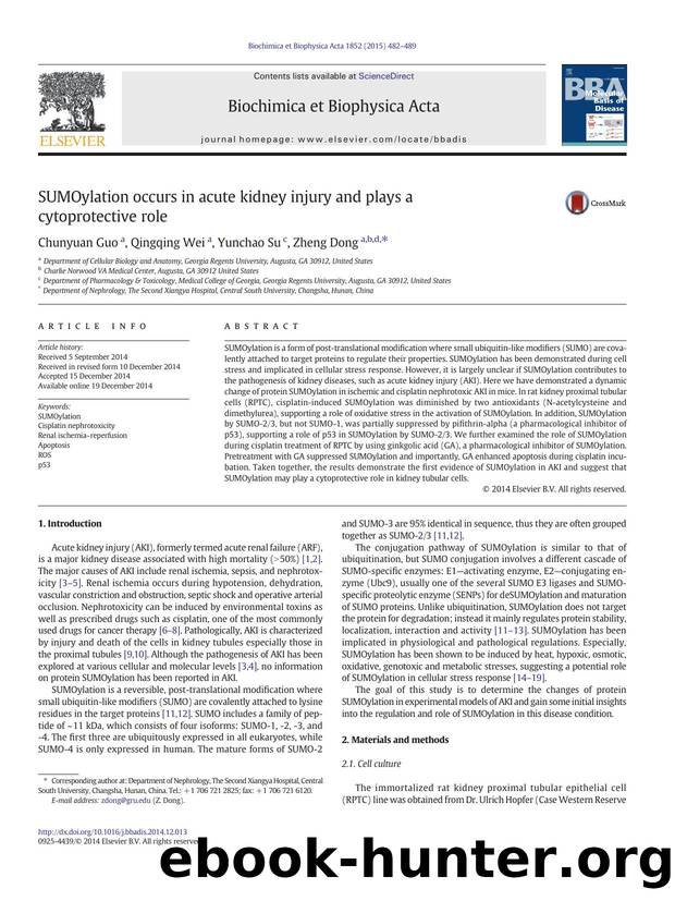 SUMOylation occurs in acute kidney injury and plays a cytoprotective role by Chunyuan Guo & Qingqing Wei & Yunchao Su & Zheng Dong