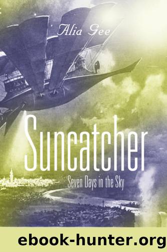 SUNCATCHER by Alia Gee