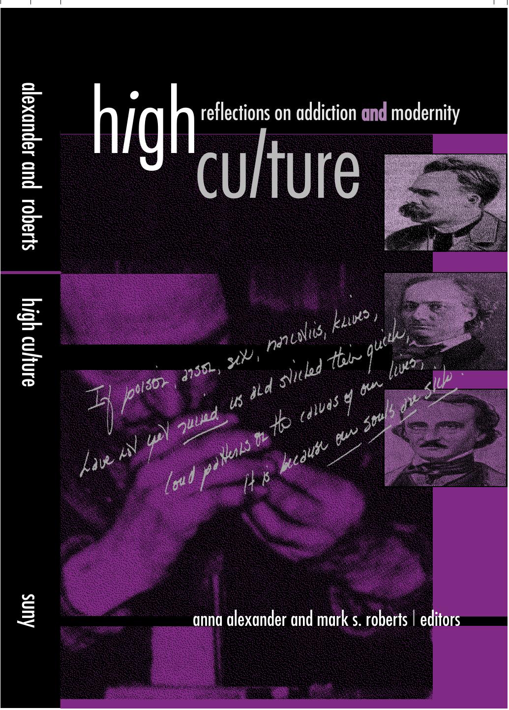 SUNY Series, Hot Topics : Contemporary Philosophy and Culture : High Culture : Reflections on Addiction and Modernity by Alexander Anna(Editor)