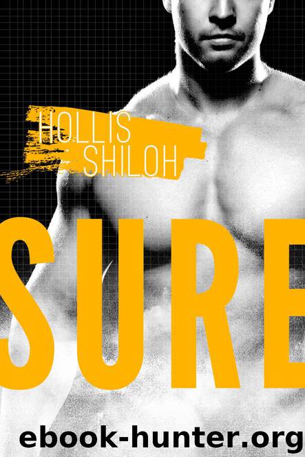 SURE (Men of the ESRB Book 3) by Hollis Shiloh