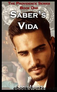 Saber's Vida: Book One (The Providence Series 1) by L. Ann Marie