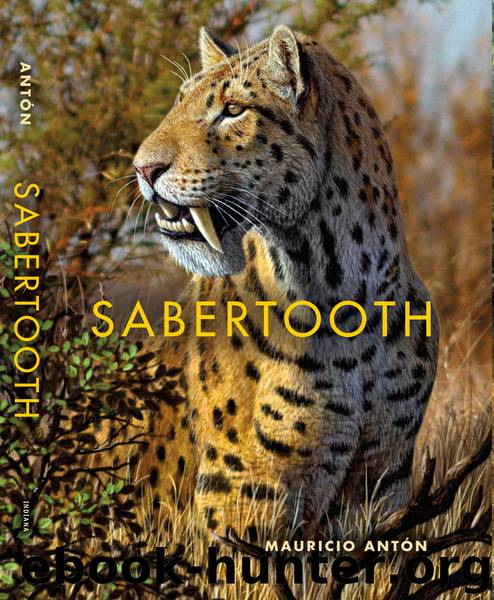 Sabertooth by Mauricio Antón