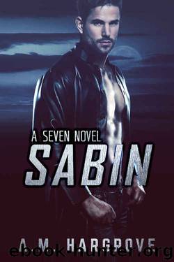 Sabin, A Seven Novel by A.M. Hargrove
