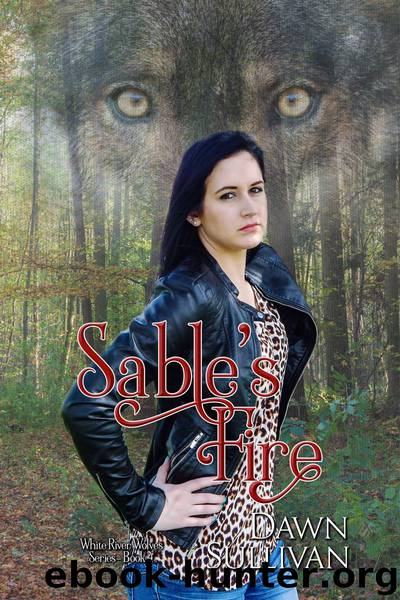 Sable's Fire by Dawn Sullivan