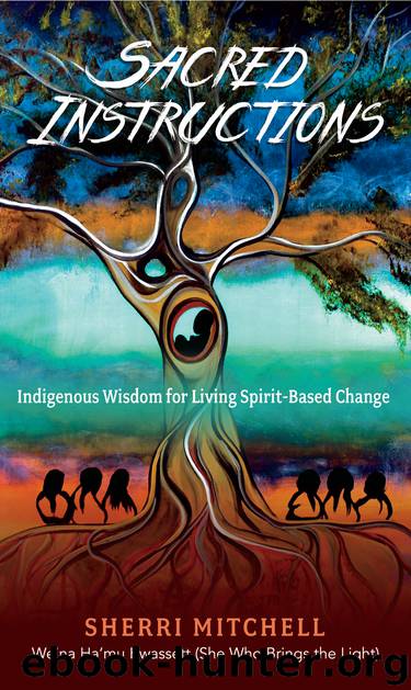 Sacred Instructions by Sherri Mitchell