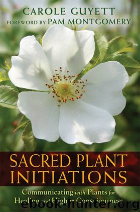Sacred Plant Initiations by Carole Guyett