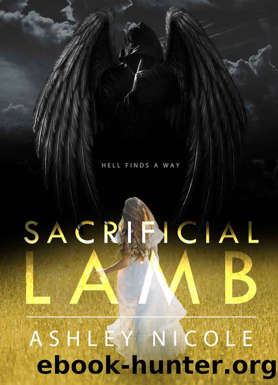 Sacrificial Lamb (The Other Angels Book 1) by Ashley Nicole