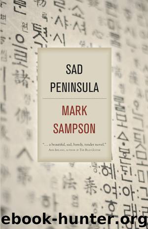 Sad Peninsula by Mark Sampson